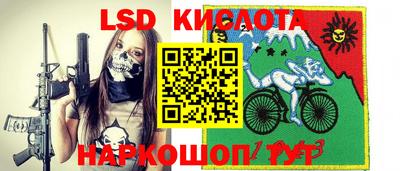 СК Новозыбков