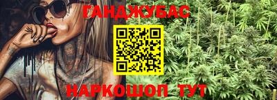 СК Новозыбков