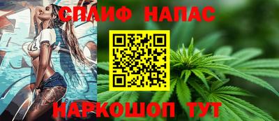 СК Новозыбков