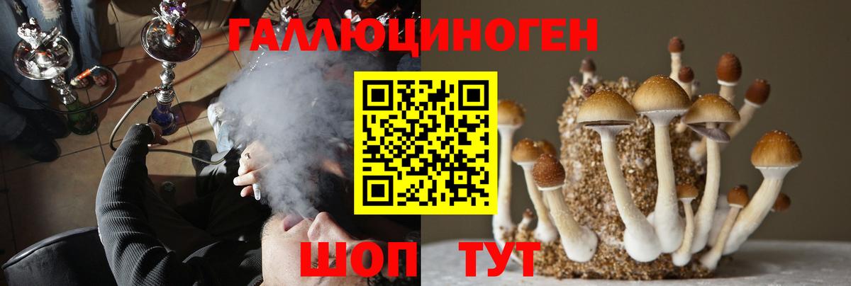 Семилуки  Галлюциногенные грибы GOLDEN TEACHER  Псилоцибиновые грибы ЛСД  Вход с VPN 
